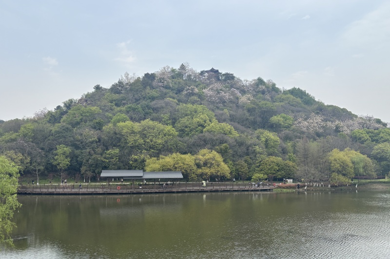 1745290399383541.jpg 镜湖湿地公园1.jpg