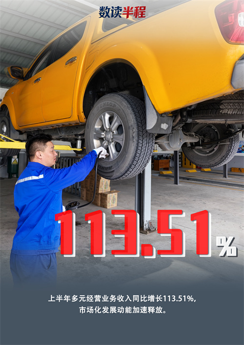 1785144235481494.jpg 7)多元经营业务收入113.51%.jpg